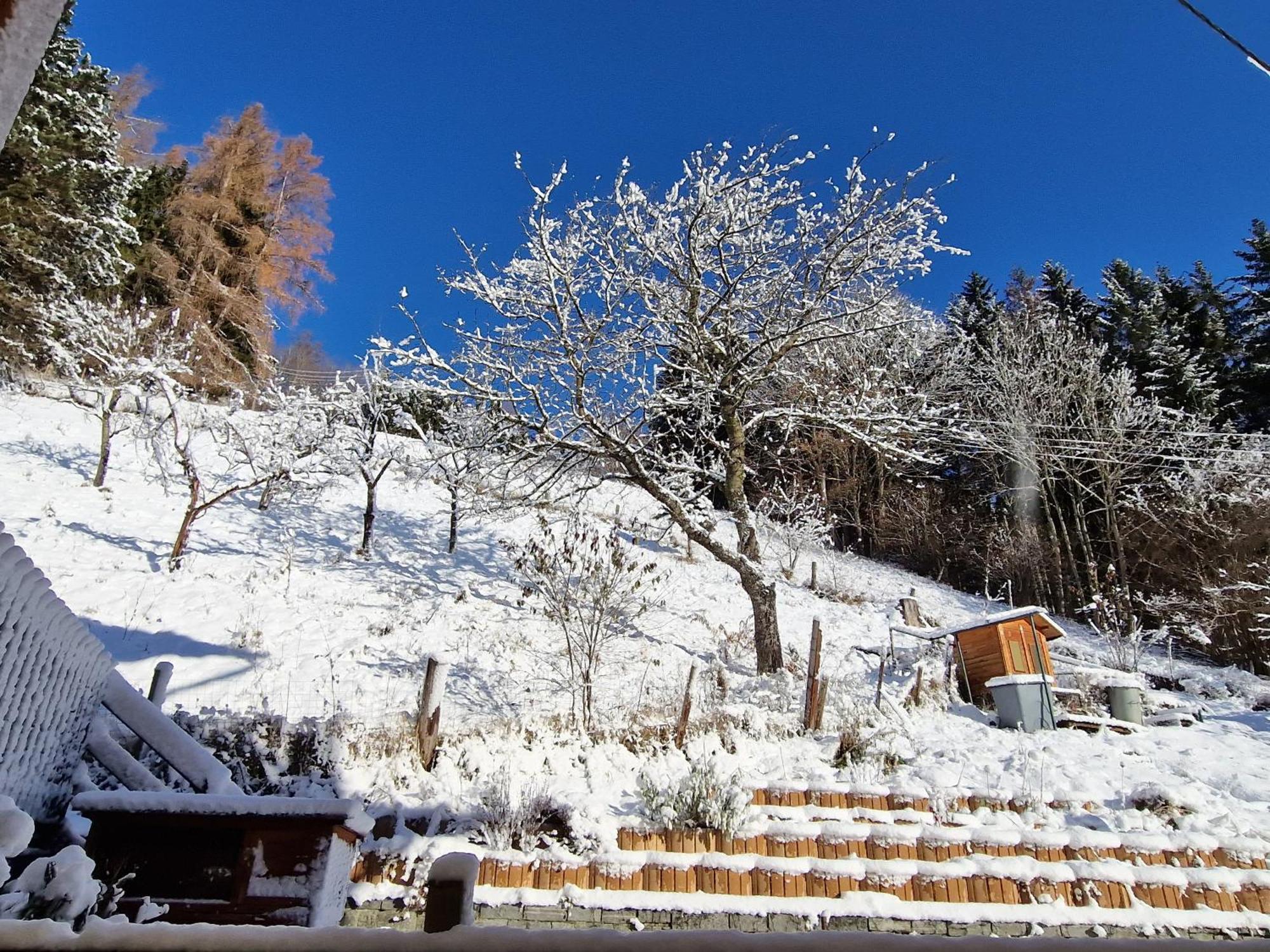Pension Sonnenheim Rooms&Apartments Gmünd Dış mekan fotoğraf